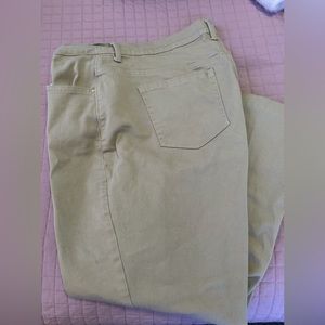 Gloria Vanderbilt Amanda 16W